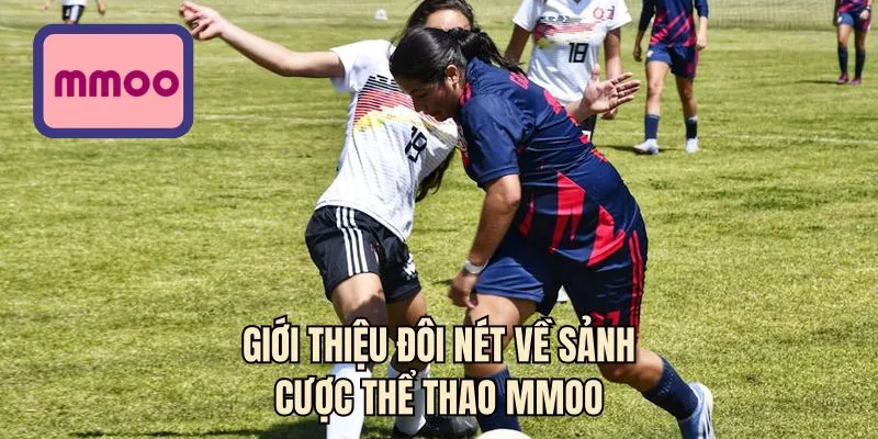 Giới thiệu đôi nét về sảnh cược thể thao MMOO