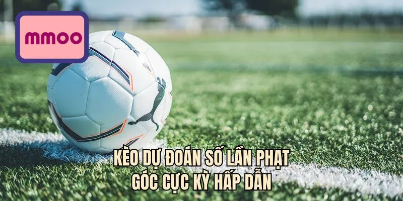 Kèo dự đoán số lần phạt góc cực kỳ hấp dẫn