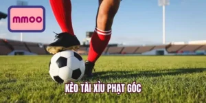 Kèo tài xỉu phạt góc