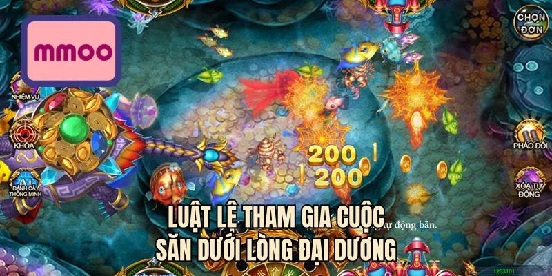 Luật lệ tham gia cuộc săn dưới lòng đại dương