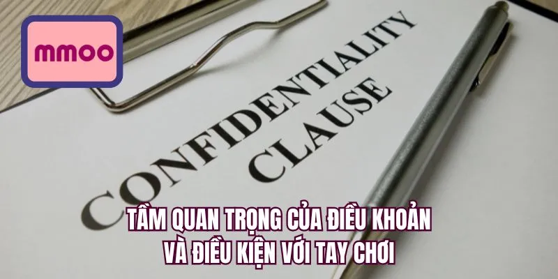 Tầm quan trọng của điều khoản và điều kiện với tay chơi